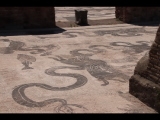 00827 ostia - regio ii - insula iv - terme di nettuno (ii,iv,2) - raum 5 - frigidarium - mosaiken - li - fisch - skylla - blick von norden aus raum 6 - 06-2022.jpg